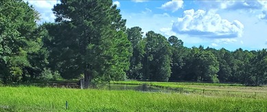 (private lake, pond, coastal) Acreage For Sale in Clayton North Carolina