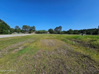 Premier 9.83 Acre Commercial tract at the Entrance to Camp Davis - photo 1