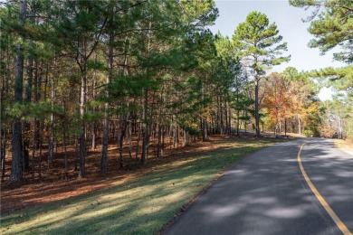 Lake Lot For Sale in Sunset, South Carolina