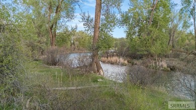 Opportunities like this don't come around often! This expansive - photo 4