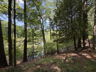 CHARMING 2-BEDROOM COTTAGE WITH PRIVATE LAKE FRONTAGE! Whether - photo 22
