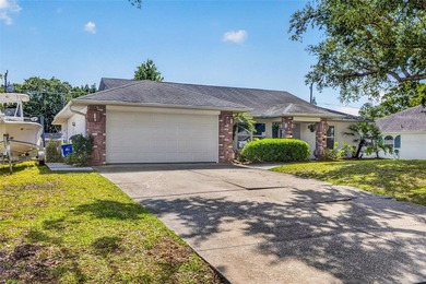 **SELLER FINANCING OFFERED**

Welcome to 2225 Vista Palm Drive - photo 50