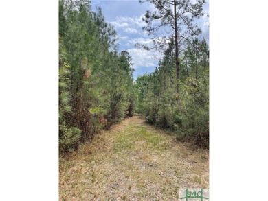 Discover the potential of this exceptional 217-acre tract - photo 11