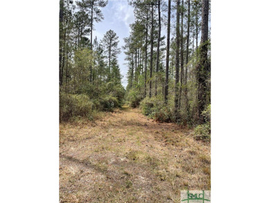 Discover the potential of this exceptional 217-acre tract - photo 12