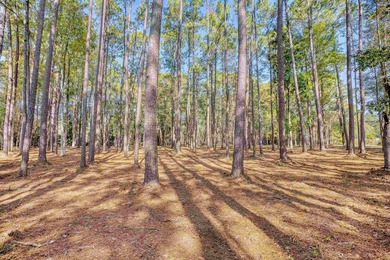 THIS IS A BEAUTIFUL PIECE OF PROPERTY 3.32 ACRES. BUILD YOUR - photo 13