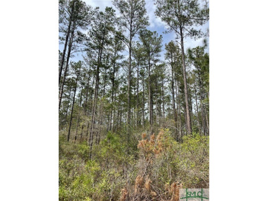 Discover the potential of this exceptional 217-acre tract - photo 13