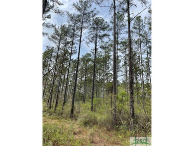 Discover the potential of this exceptional 217-acre tract - photo 15