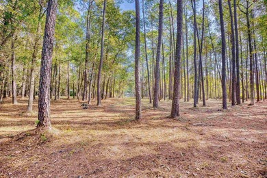 THIS IS A BEAUTIFUL PIECE OF PROPERTY 3.32 ACRES. BUILD YOUR - photo 16