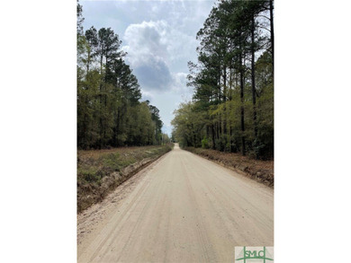 Discover the potential of this exceptional 217-acre tract - photo 16