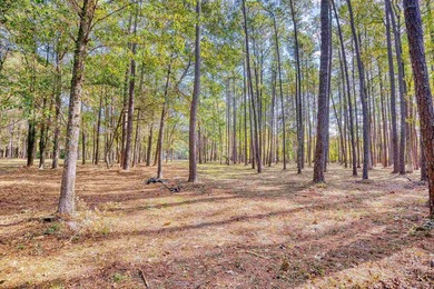 THIS IS A BEAUTIFUL PIECE OF PROPERTY 3.32 ACRES. BUILD YOUR - photo 17