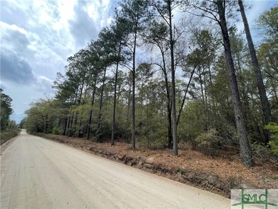 Discover the potential of this exceptional 217-acre tract - photo 17