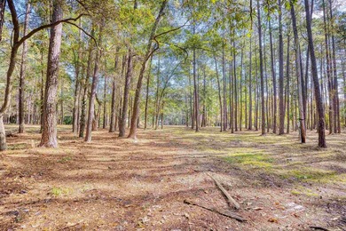 THIS IS A BEAUTIFUL PIECE OF PROPERTY 3.32 ACRES. BUILD YOUR - photo 18