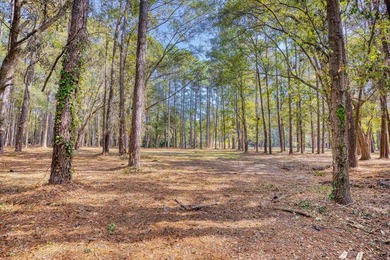 THIS IS A BEAUTIFUL PIECE OF PROPERTY 3.32 ACRES. BUILD YOUR - photo 19