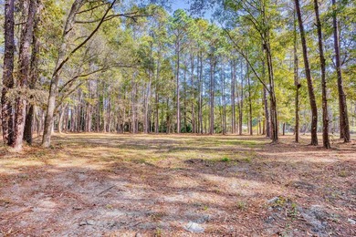 THIS IS A BEAUTIFUL PIECE OF PROPERTY 3.32 ACRES. BUILD YOUR - photo 21