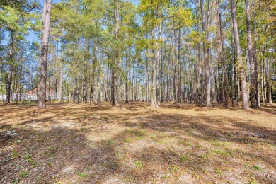 THIS IS A BEAUTIFUL PIECE OF PROPERTY 3.32 ACRES. BUILD YOUR - photo 22