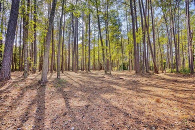 THIS IS A BEAUTIFUL PIECE OF PROPERTY 3.32 ACRES. BUILD YOUR - photo 23