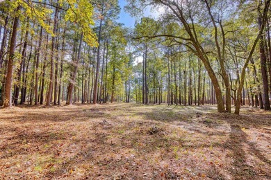 THIS IS A BEAUTIFUL PIECE OF PROPERTY 3.32 ACRES. BUILD YOUR - photo 25