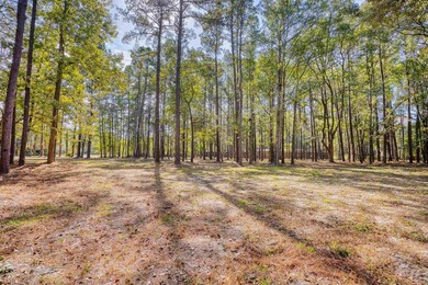 THIS IS A BEAUTIFUL PIECE OF PROPERTY 3.32 ACRES. BUILD YOUR - photo 26