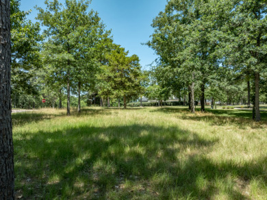 Build Your Dream Home in Eagle's Bluff on Lake Palestine - photo 4