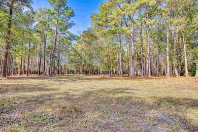 THIS IS A BEAUTIFUL PIECE OF PROPERTY 3.32 ACRES. BUILD YOUR - photo 29