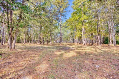 THIS IS A BEAUTIFUL PIECE OF PROPERTY 3.32 ACRES. BUILD YOUR - photo 31