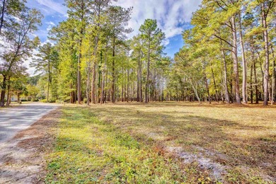 THIS IS A BEAUTIFUL PIECE OF PROPERTY 3.32 ACRES. BUILD YOUR - photo 36