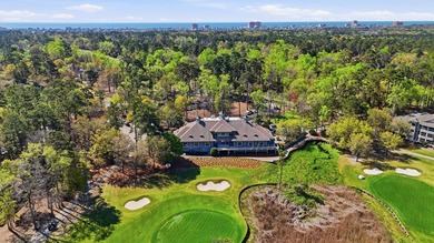 Beautiful 3BR 2.5BA Lowcountry style home in Tidewater - photo 49
