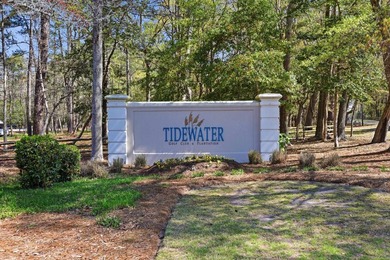 Beautiful 3BR 2.5BA Lowcountry style home in Tidewater - photo 50