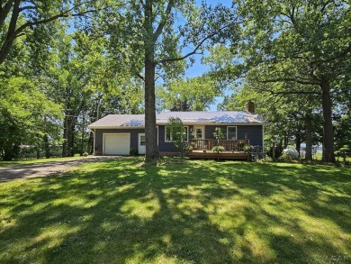 Bird Lake Home For Sale in Osseo Michigan