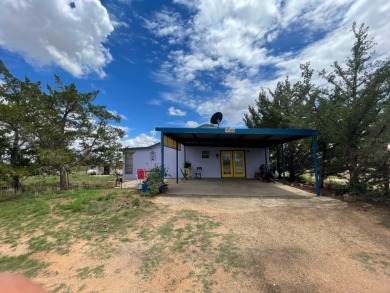 Lake Home For Sale in Logan, New Mexico