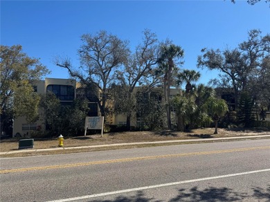 (private lake, pond, coastal) Condo For Sale in Largo Florida