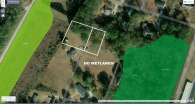 ***ALMOST 1 ACRE! ***TWO(2) TMS#'S!! -- UNDER $100K!*** POSSIBLE - photo 12