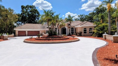 Lake Home For Sale in Oldsmar, Florida