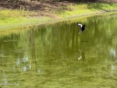 The 10.39 property has 2 houses and a private pond on it - photo 3