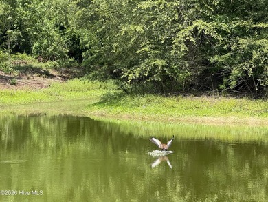 The 10.39 property has 2 houses and a private pond on it - photo 4