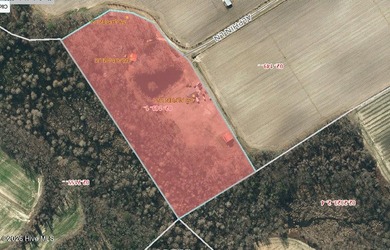 The 10.39 property has 2 houses and a private pond on it - photo 5
