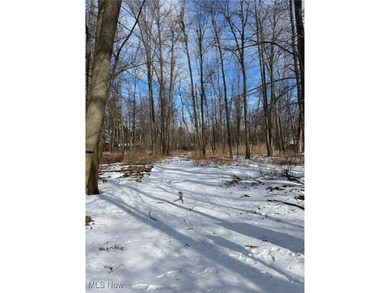 Lake Erie - Lake County Acreage For Sale in Mentor on The Lake Ohio