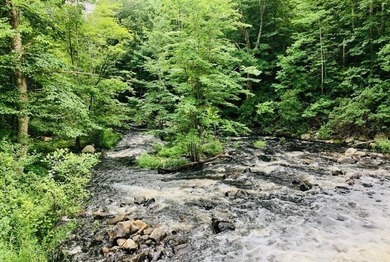 Trues Pond  Lot For Sale in Montville Maine