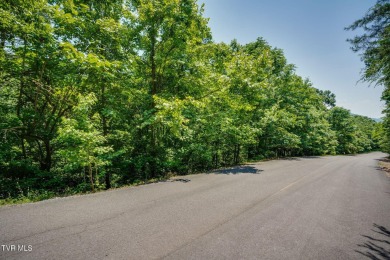 Lake Lot For Sale in Whitesburg, Tennessee