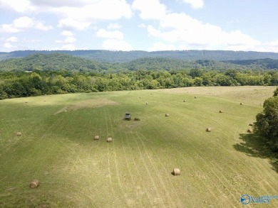 Lake Acreage For Sale in Bryant, Alabama