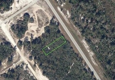Lake Grassy Lot For Sale in Lake Placid Florida