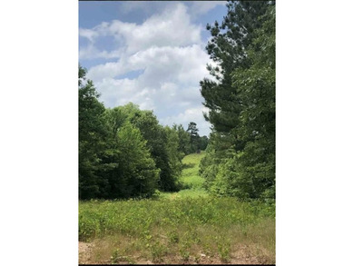 (private lake, pond, coastal) Acreage For Sale in Gilmer Texas