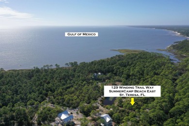 Lake Lot For Sale in Sopchoppy, Florida