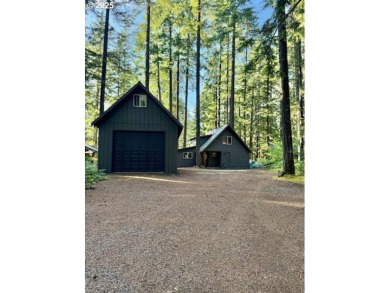 Lake Home For Sale in Cougar, Washington
