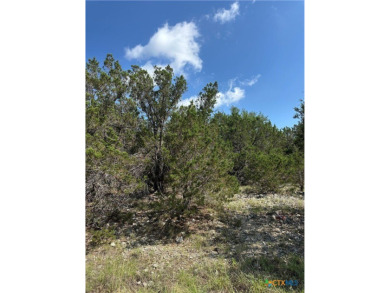 Canyon Lake Lot For Sale in Spring Branch Texas