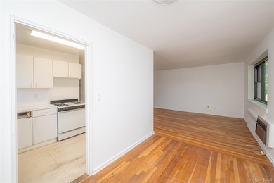 Welcome to this spacious and sun filled large JR 4 Apartment - photo 15