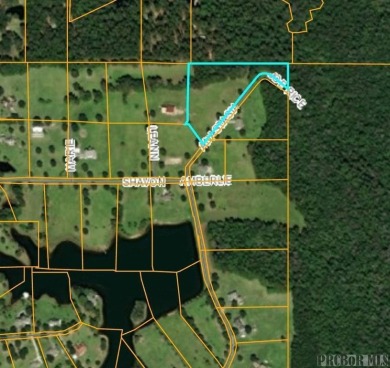  Lot For Sale in Carriere Mississippi