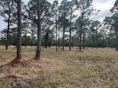Discover a rare opportunity to own six adjoining parcels of - photo 1
