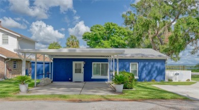 Lake Home For Sale in Tarpon Springs, Florida