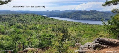 Great Sacandaga Lake Acreage For Sale in Other New York